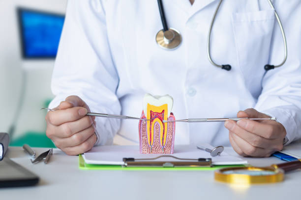 Best Emergency Treatment for Dental Infections or Abscesses in Fitchburg, WI